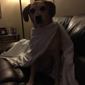 Meet your Posher, Beth